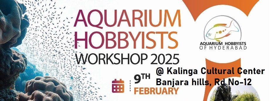 AHH workshop 09 Februrary 2024